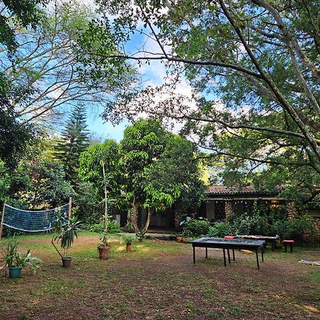 Mad Vervet Nairobi Backpackers Hostel Exteriér fotografie
