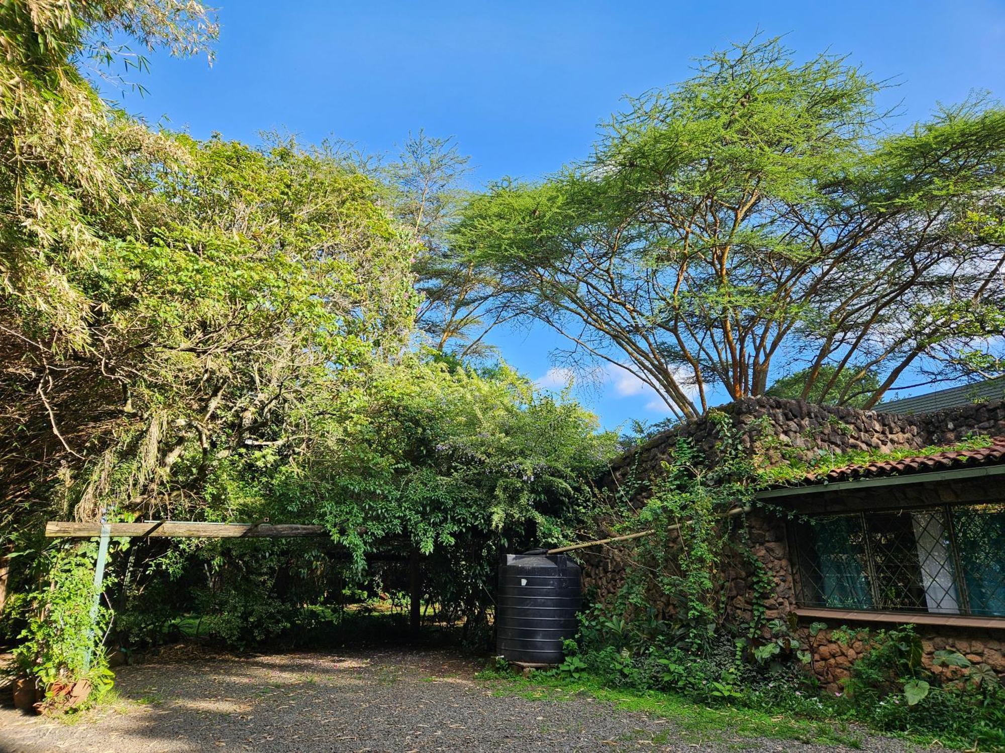 Mad Vervet Nairobi Backpackers Hostel Exteriér fotografie